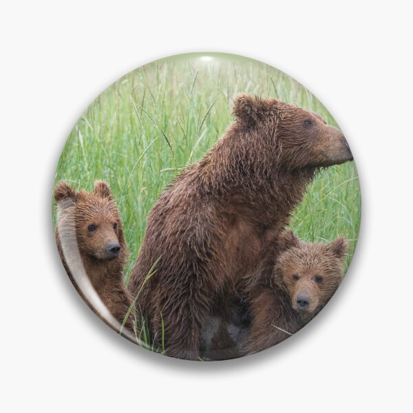 Item preview, three bears cubs family grizzly brown designed and sold by LGMmugsdesign.