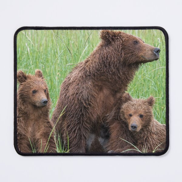 Item preview, three bears cubs family grizzly brown designed and sold by LGMmugsdesign.