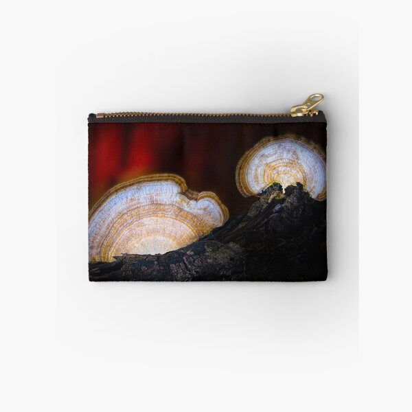 Item preview, Artist's Conks at Sunset designed and sold by VisualVoyages.