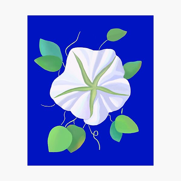 Aperçu de l'œuvre Fleur de lune créée et vendue par fernandobos.