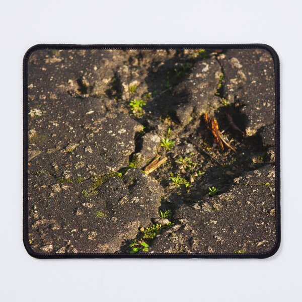 Item preview, cracks in the road designed and sold by Francespoppy.