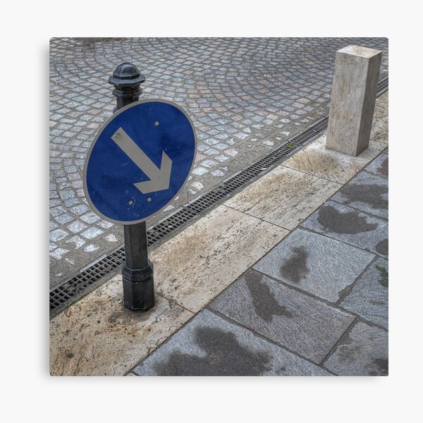 Which Way? Canvas Print