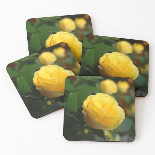 Item preview, A lovely yellow rose flower picture. designed and sold by naturematters.