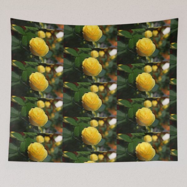 Aperçu de l'œuvre A lovely yellow rose flower picture. créée et vendue par naturematters.