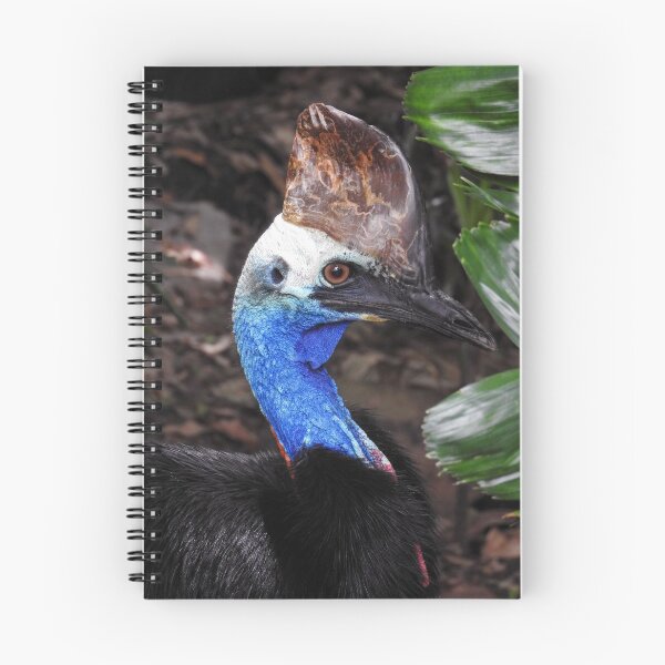 Item preview, Southern Cassowary designed and sold by kirstybush.