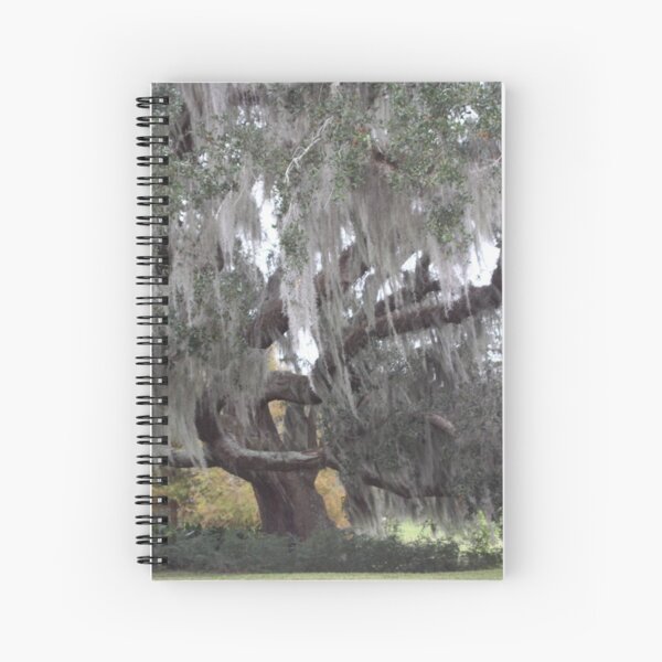 Item preview, LIVE OAK designed and sold by Pauline Evans.