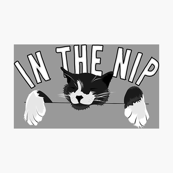 Item preview, In The Nip - Just a cozy cat hanging out designed and sold by Pinnacle of Decadence.