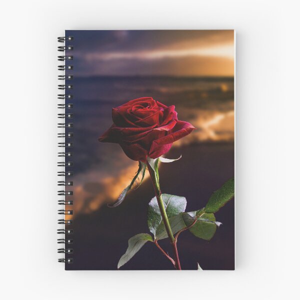 Item preview, Romantic Red Rose on a Beach at Sunset designed and sold by AnimalArtstyle.
