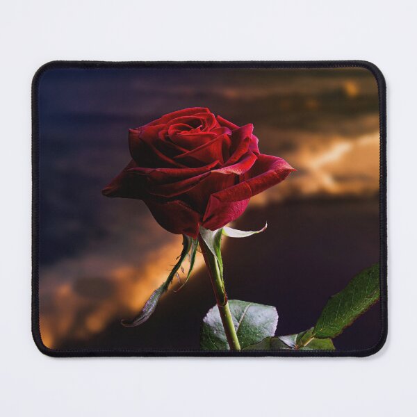 Item preview, Romantic Red Rose on a Beach at Sunset designed and sold by AnimalArtstyle.