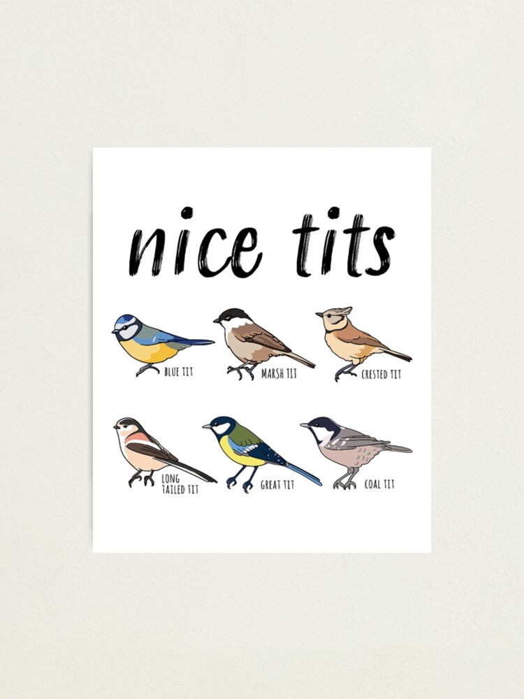 Bird, Birds, funny birds, cute birds, Nice Tits  Classic T-Shirt for Sale  by UcDesignz