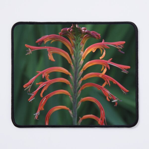 Item preview, Standing Proud & Speaking Out designed and sold by heatherfriedman.