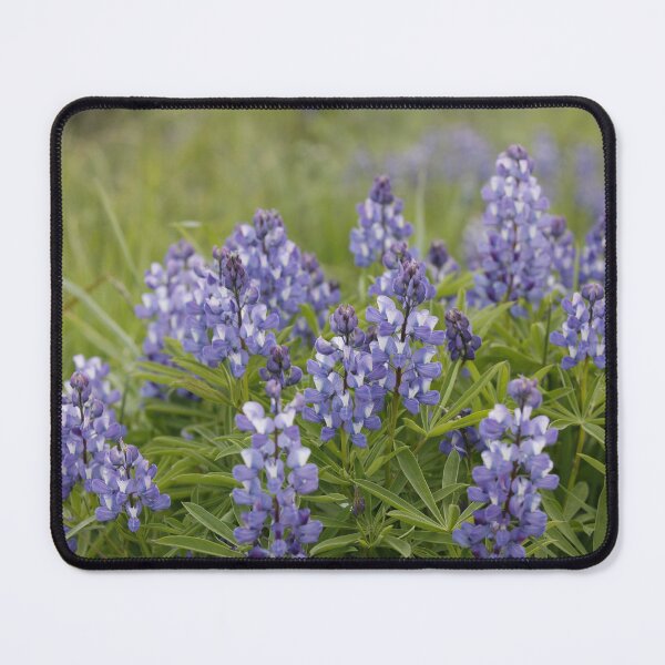 Item preview, Hurricane Ridge Flowers designed and sold by Stratus13.