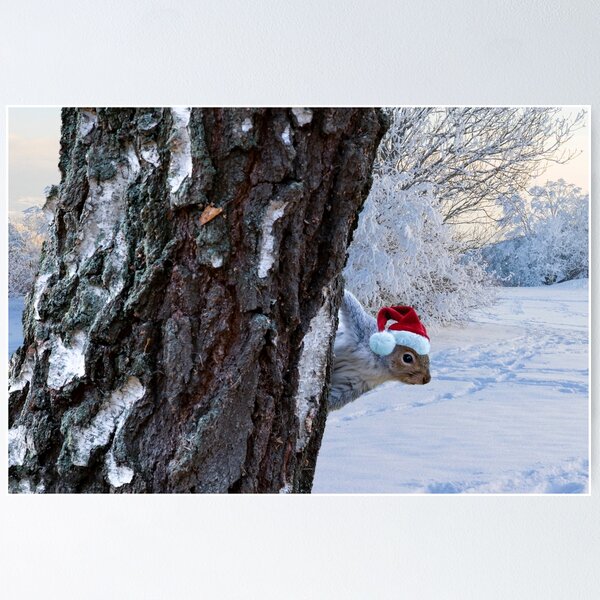 Item preview, Christmas Squirrel posters art prints t-shirts phone cases mugs etc designed and sold by craigewmcg123.