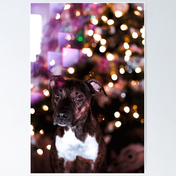 Item preview, Christmas Lights and puppy designed and sold by mediabynv.