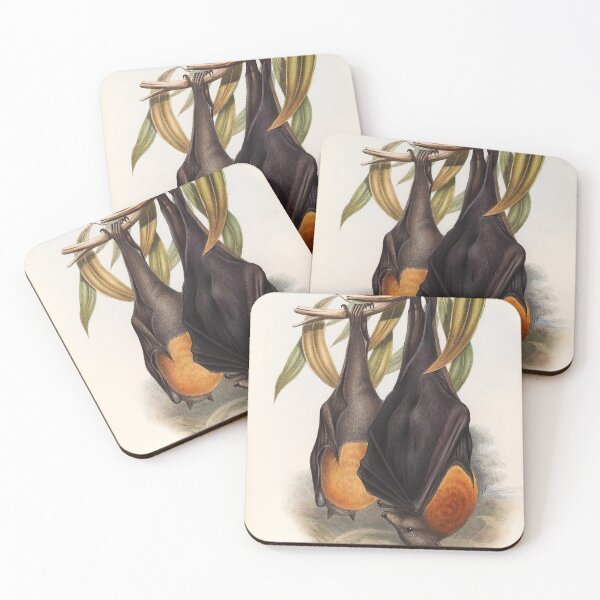 Item preview, Australian Flying Fox | Fruit Bat | Pteropus poliocephalus by John Gould  designed and sold by wildtribe.