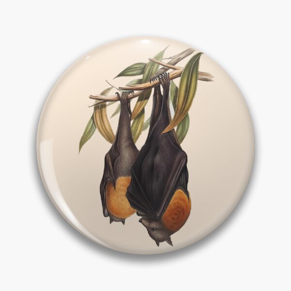 Item preview, Australian Flying Fox | Fruit Bat | Pteropus poliocephalus by John Gould  designed and sold by wildtribe.
