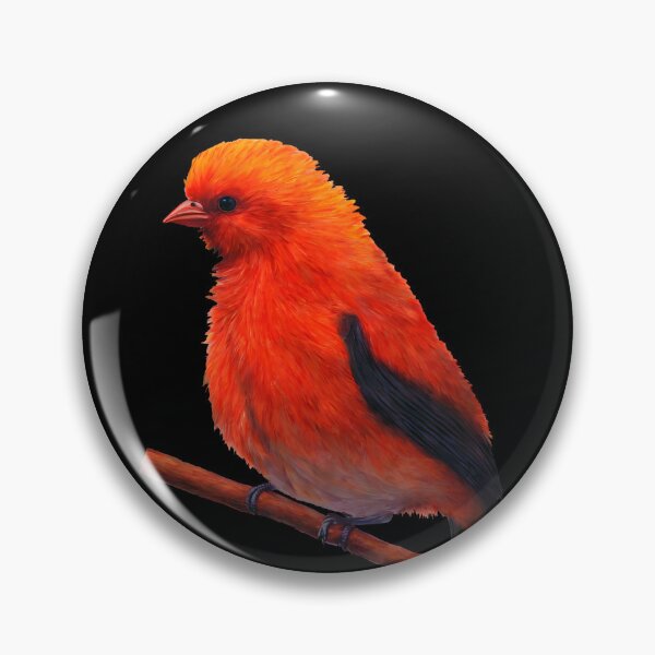 Item preview, cute orange bird on a branch designed and sold by Chardo55.