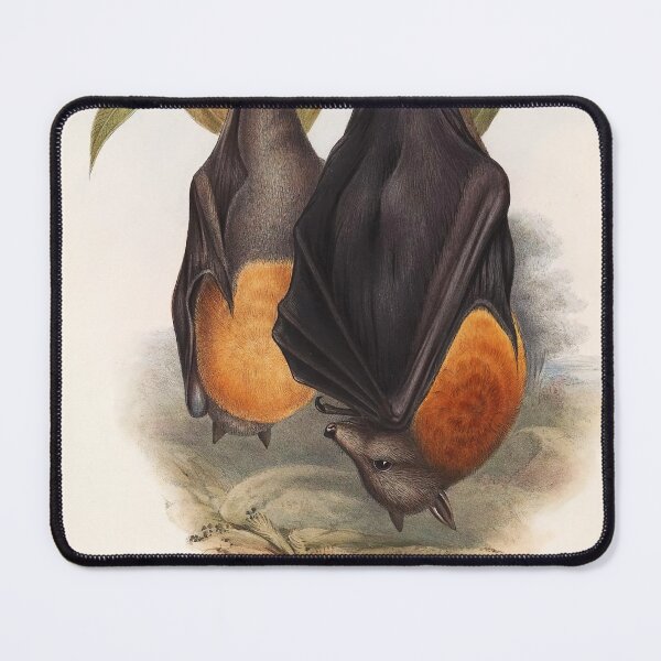 Item preview, Australian Flying Fox | Fruit Bat | Pteropus poliocephalus by John Gould  designed and sold by wildtribe.