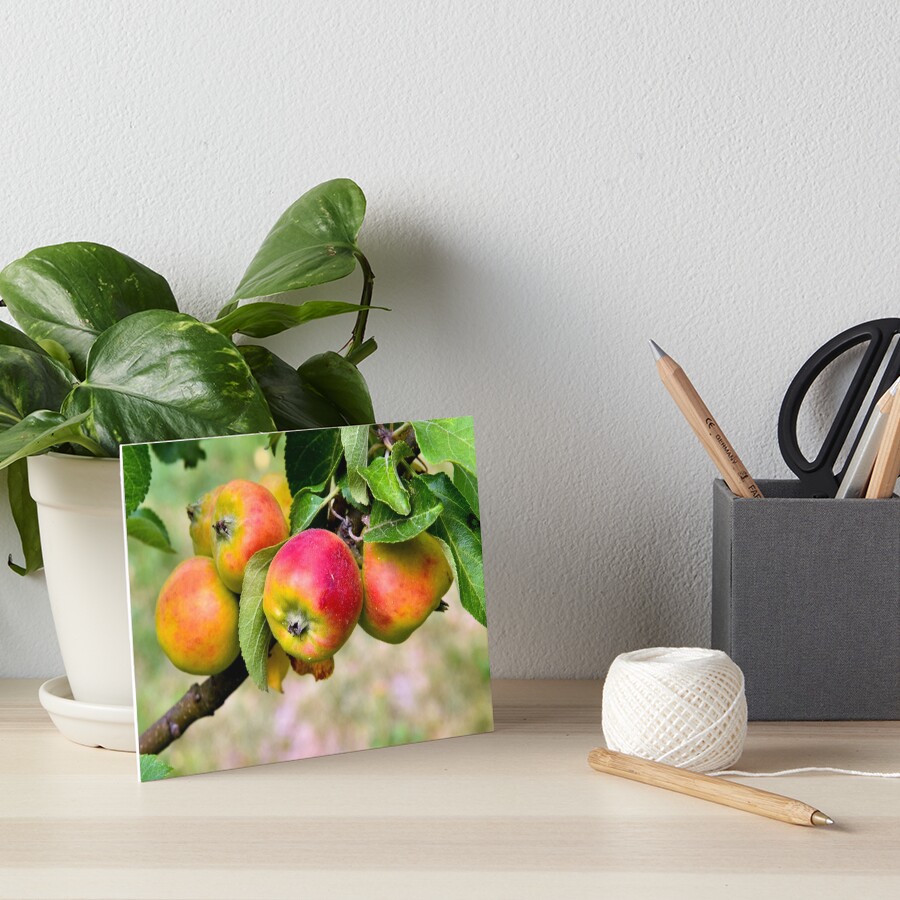 Item preview, Art Board Print designed and sold by Nikopol.