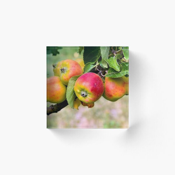 Item preview, manzana designed and sold by Nikopol.