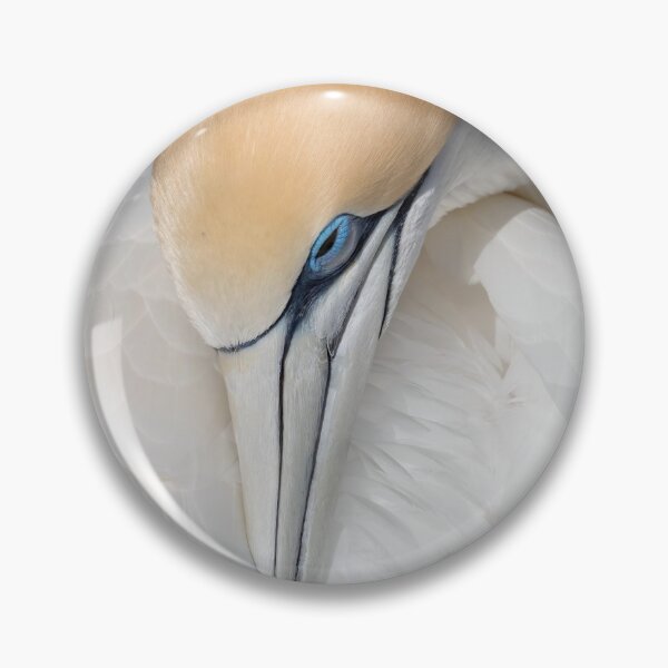 Item preview, Gannet designed and sold by Tony Skerl.