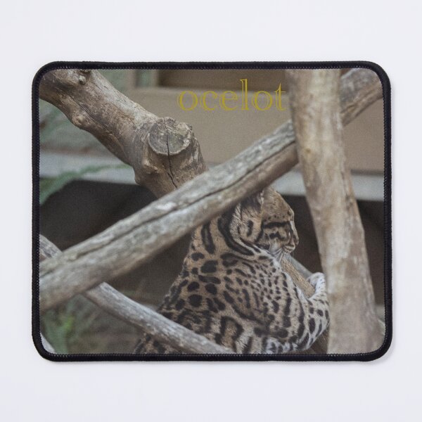Item preview, Ocelot (2022) designed and sold by LucythePhoenix.