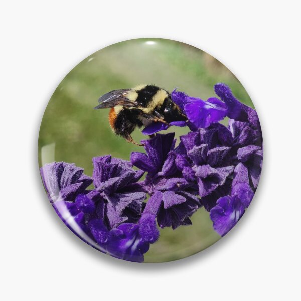 Item preview, Buzzing bee designed and sold by Simswitz.