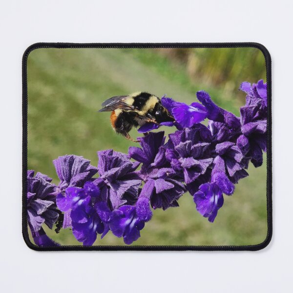 Item preview, Buzzing bee designed and sold by Simswitz.