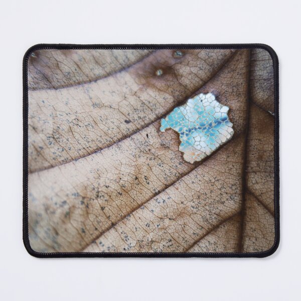 Item preview, Window designed and sold by Nathan Gruber.
