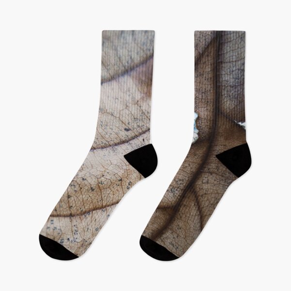 Item preview, Window designed and sold by Nathan Gruber.