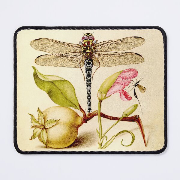 Item preview, Dragonfly, Pear, Carnation, and Insect by Joris Hoefnagel, ca. 1595 designed and sold by wildtribe.