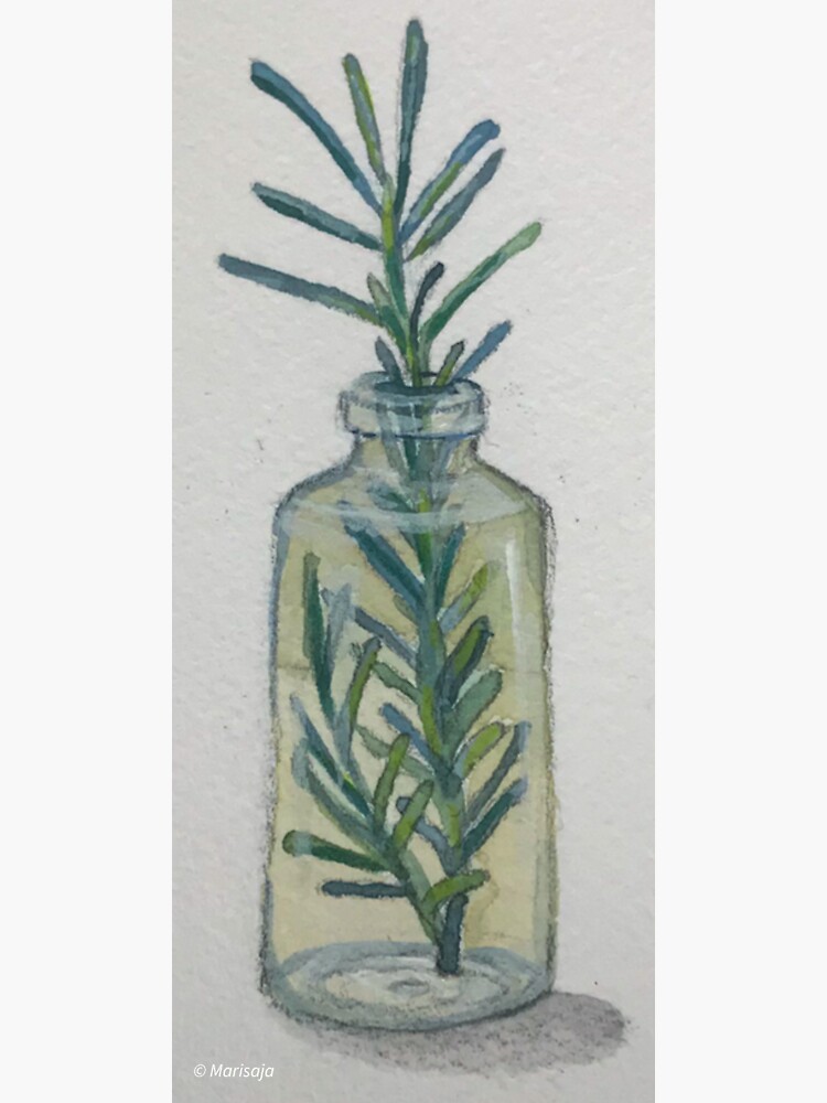 "rosemary sprig sketch in glass vessel " Sticker for Sale by marisaja