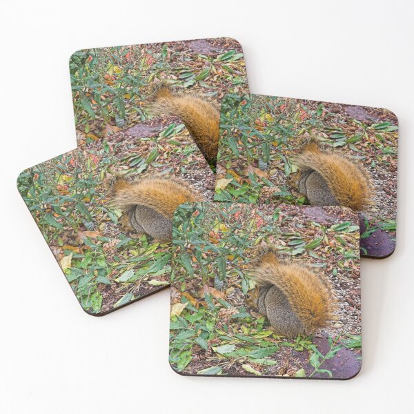 Item preview, Foraging Fox Squirrel designed and sold by alanathrower.