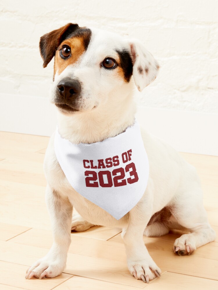 Dog graduation hot sale bandana