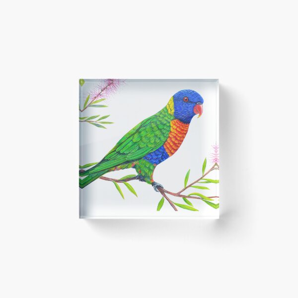Item preview, Rainbow Lorikeet designed and sold by Linda Callaghan.