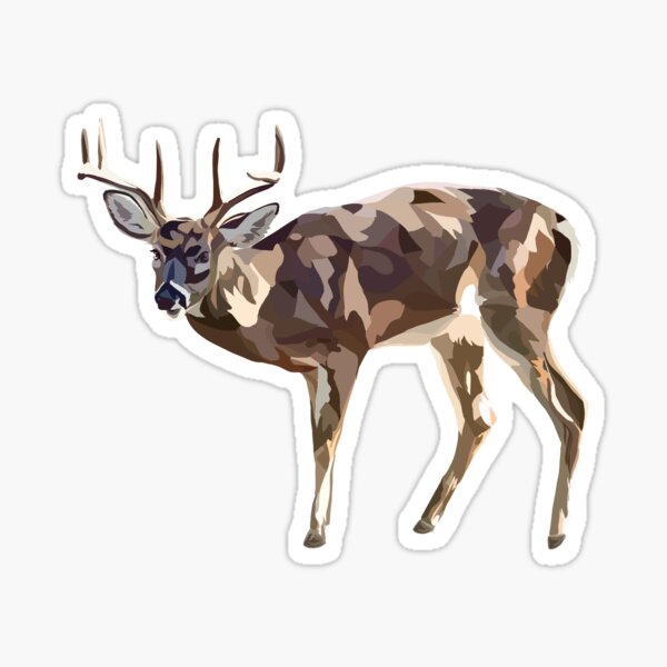 Whitetail Deer Stickers for Sale
