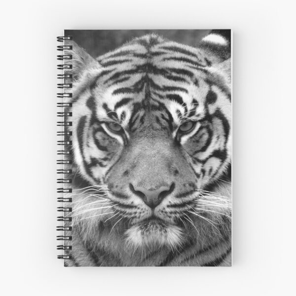 Item preview, Sumatran Tiger designed and sold by kirstybush.