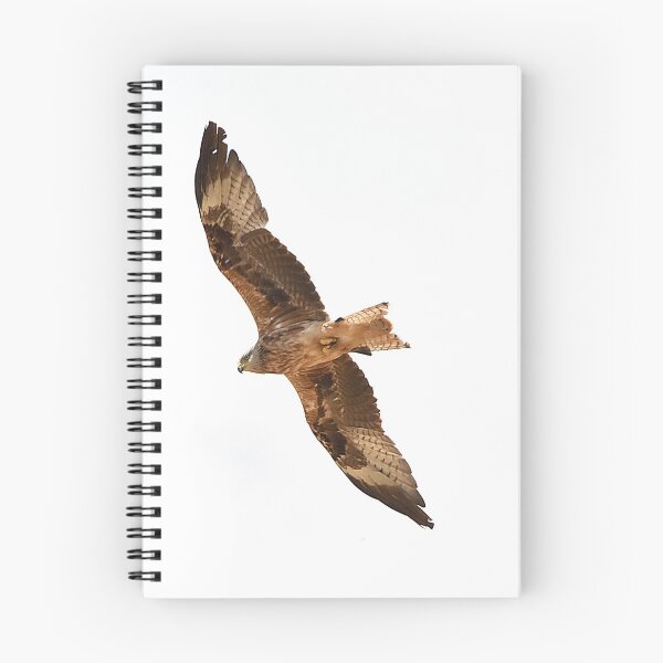 Item preview, Wild Falcon designed and sold by Nikopol.