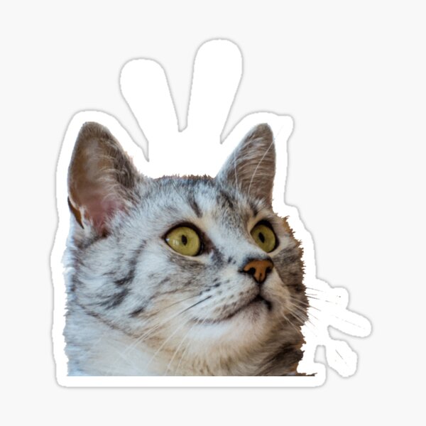Surprised Cat Sticker Vinyl Meow