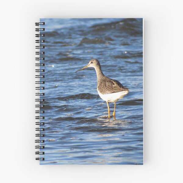 Item preview, Sandpiper designed and sold by Veronica Leigh.