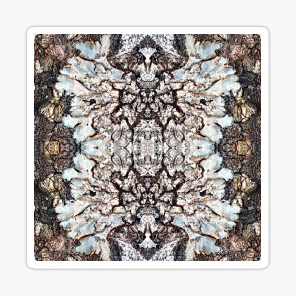 White Lichen on Tree Bark Sticker