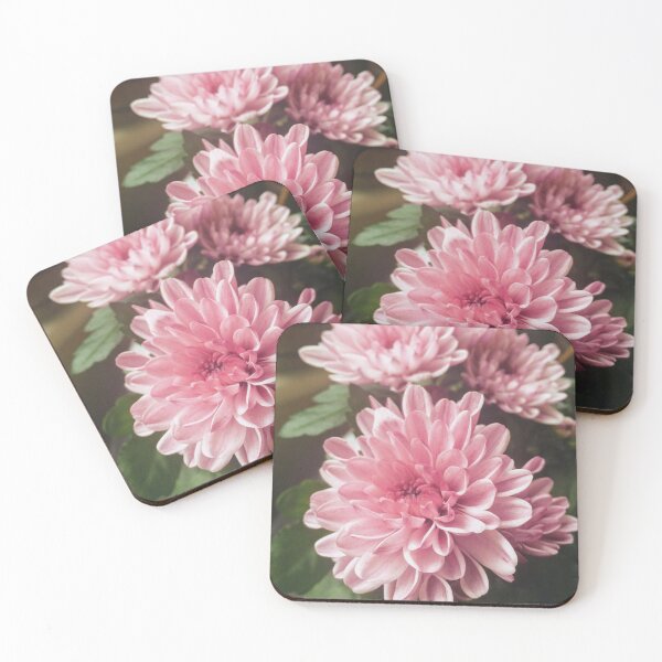 Item preview, Coventry designed and sold by SnappedbyRivka.