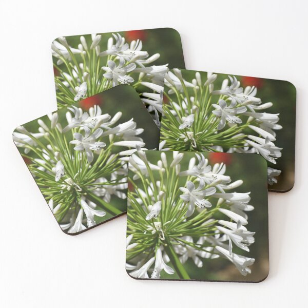 Item preview, Agapanthus designed and sold by okomedesign.