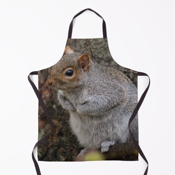 Item preview, Squirrel designed and sold by craigewmcg123.