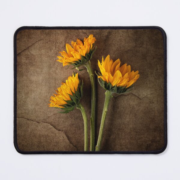Item preview, Sunflower Composite designed and sold by jecphotography and art.