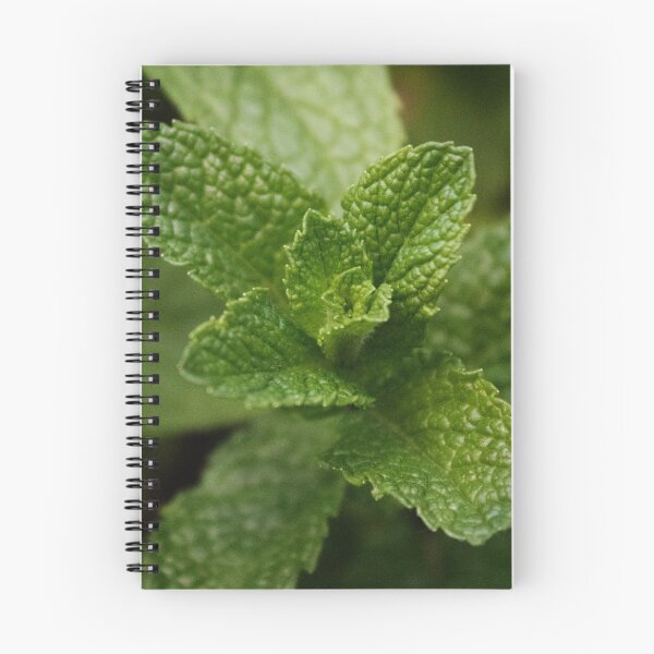 Item preview, Fresh Mint designed and sold by Samantha Bailey.