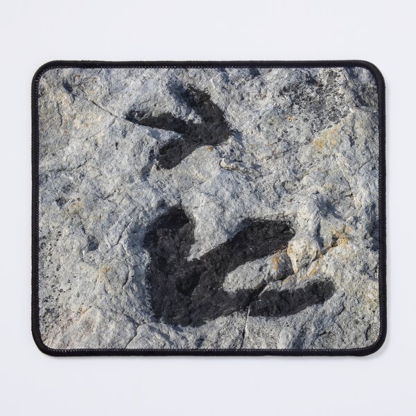 Item preview, Dinosaur Footprints Near Golden, Colorado designed and sold by jecphotography and art.