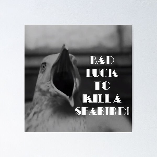 Item preview, Seabird designed and sold by marisaj4488.
