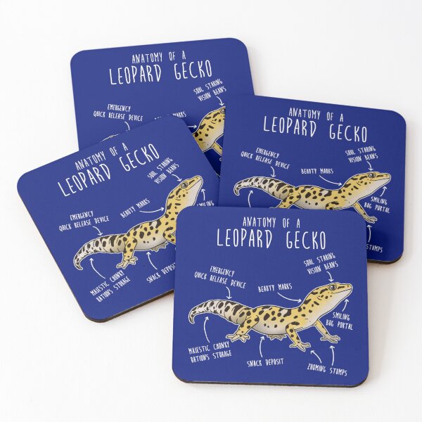 Item preview, Anatomy of a Leopard Gecko   designed and sold by QualityApp1112.