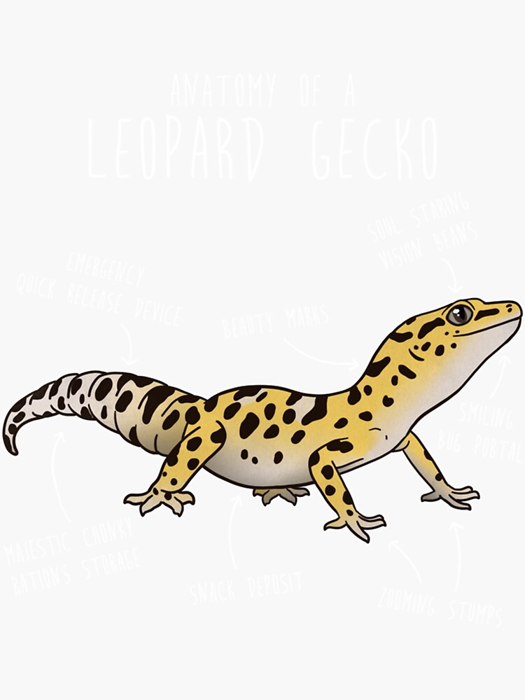 Anatomy of a Leopard Gecko  Mouse Pad for Sale by QualityApp1112